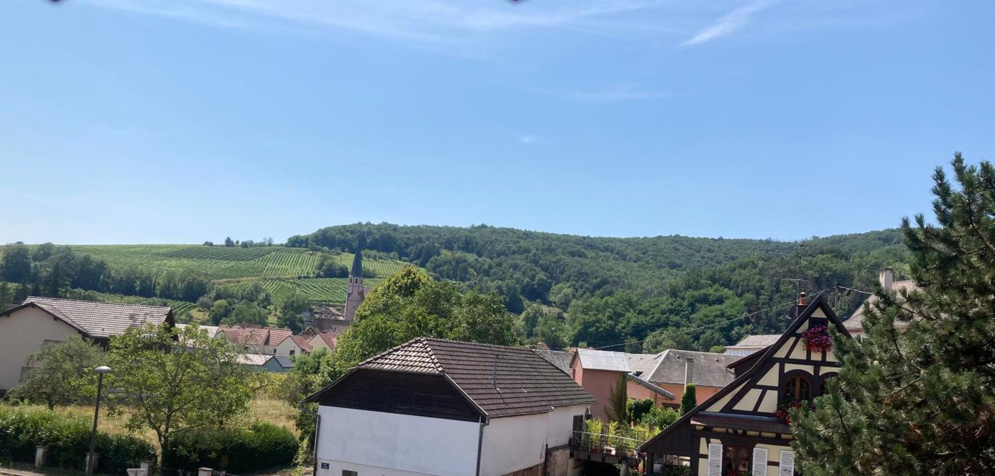 La Bonneterie Hotel Andlau-au-Val Exterior photo