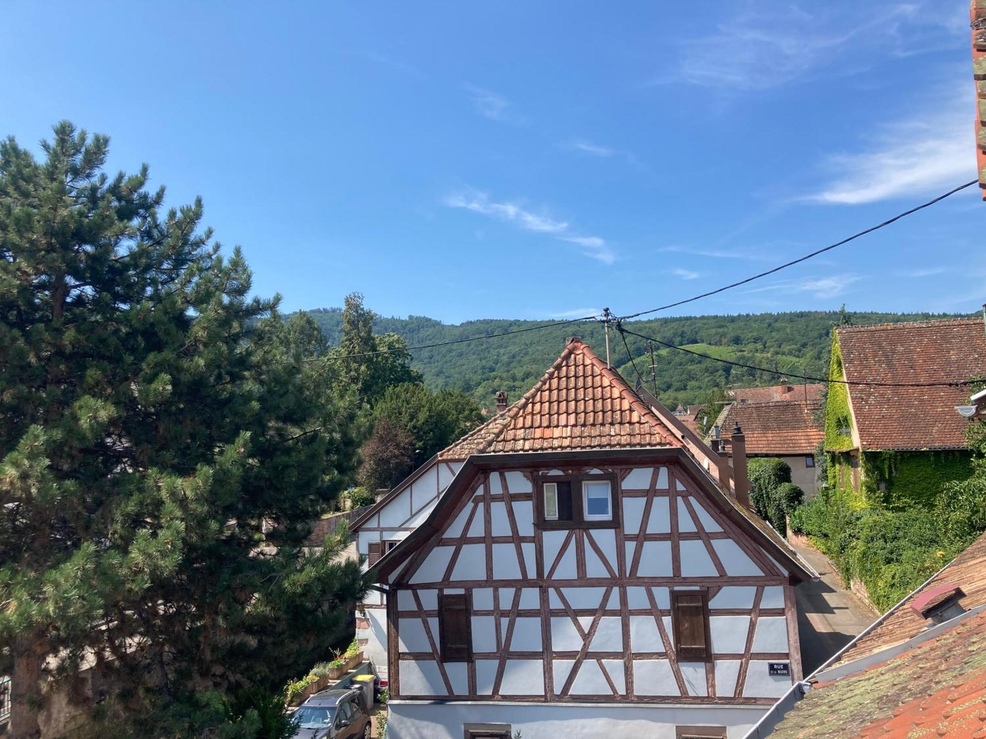 La Bonneterie Hotel Andlau-au-Val Exterior photo